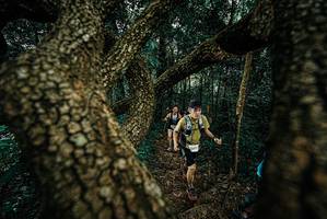 BIB: 
                            <button type="button" onclick="openModal(25698093)" class="btn btn-primary btn-sm float-right btn-popup" data-toggle="modal" data-target=".modal-high-quality">
                        <i class="fas fa-shopping-cart"></i> Add to Cart
                    </button>
                                            <button type="button" onclick="isThisMe(25698093, true)" class="btn btn-success btn-sm float-right btn-popup btn-isme hidden" data-toggle="tooltip" data-placement="bottom" title="นี่คือรูปของคุณใช่ไหม คลิกที่นี่เพื่อเอาเข้าอัลบั้ม">
                        <i class="fas fa-plus"></i> Add to album
                    </button>
                    <button type="button" onclick="isThisMe(25698093, false)" class="btn btn-warning btn-sm float-right btn-popup btn-isnotme hidden">
                        <i class="fas fa-ban"></i> Remove from album
                    </button>